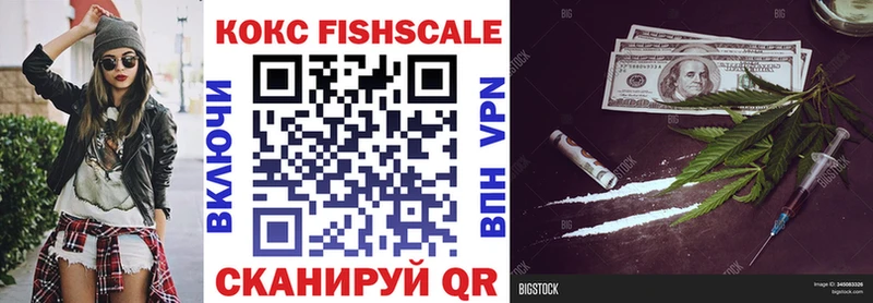 COCAIN FishScale  площадка официальный сайт  Ленинградская 