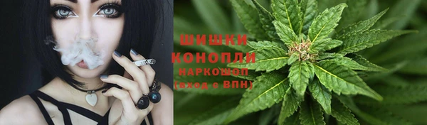стафф Бронницы