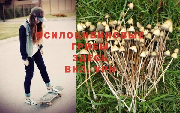 стафф Бронницы