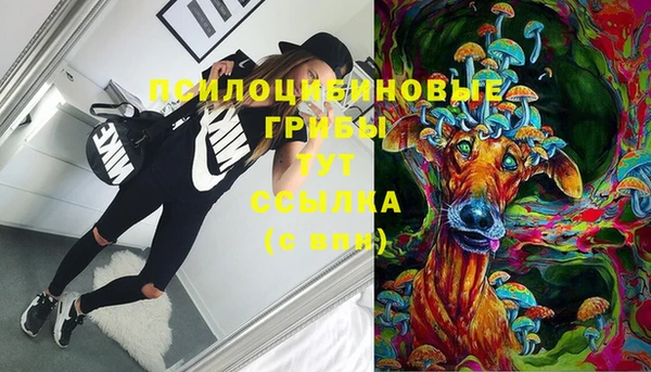 гидра Бугульма