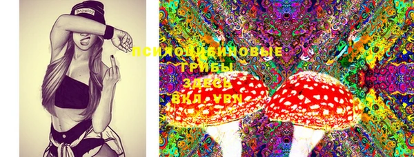стафф Бронницы